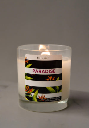 
                  
                    Paradise - Mango Tangerine Candle
                  
                